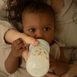 Little Dutch Drinken^Babyfles 240 ml Forest Friends