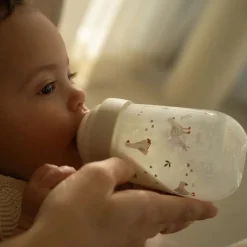 Little Dutch Drinken^Babyfles 240 ml Little Goose