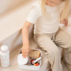 Little Dutch Lunch|Eten^Bento Lunchbox groot Fairy Wonders