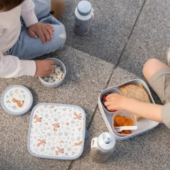 Little Dutch Lunch|Eten^Bento Lunchbox groot Forest Friends