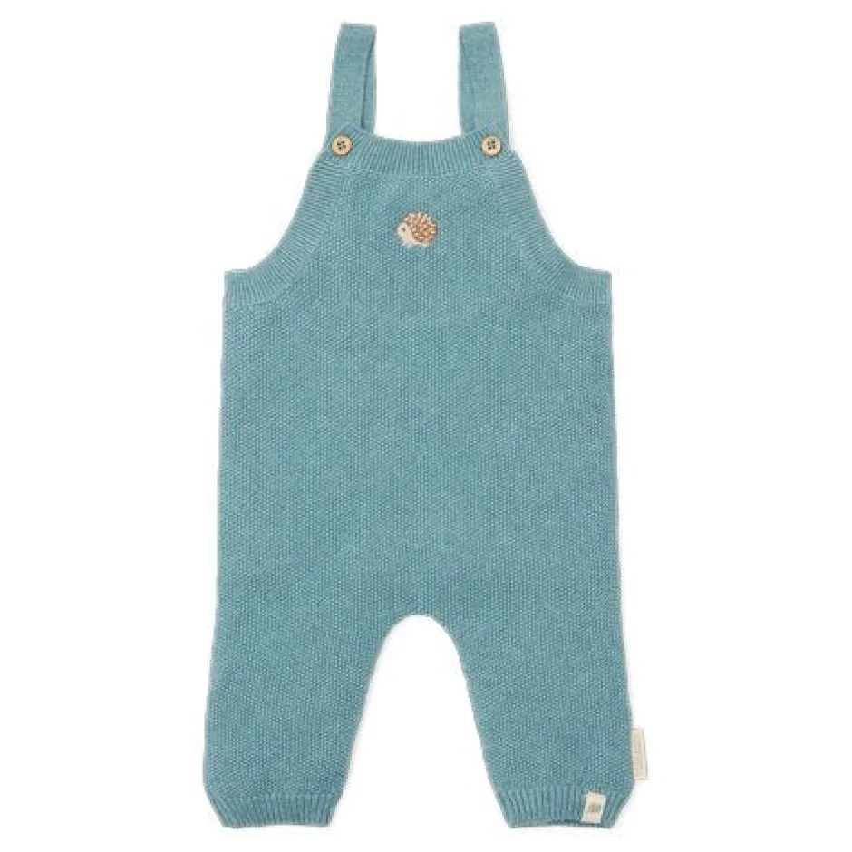 Little Dutch Boxpakjes|Jongens Kleding^Boxpakje - Blauw - Forest Friends