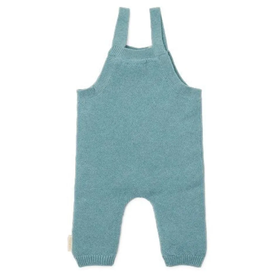 Little Dutch Boxpakjes|Jongens Kleding^Boxpakje - Blauw - Forest Friends