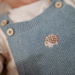 Little Dutch Boxpakjes|Jongens Kleding^Boxpakje - Blauw - Forest Friends