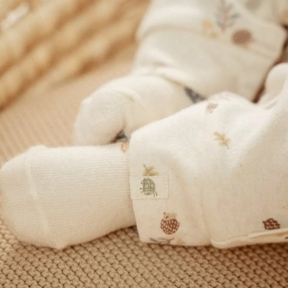 Little Dutch Boxpakjes|Jongens Kleding^Boxpakje - Zand - Forest Friends