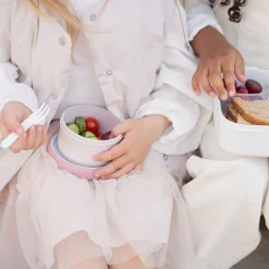 Little Dutch Lunch^Fruitbox Campus 300 ml Fairy Garden