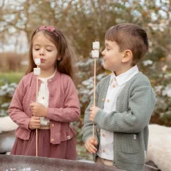 Little Dutch Jongens Kleding|Kinderkleding^Gebreid vest - Groen - Forest Friends