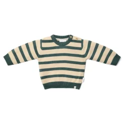 Little Dutch Jongens Kleding|Kinderkleding^Gebreide trui - Groen - Forest Friends - Stripe