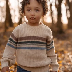 Little Dutch Kinderkleding|Jongens Kleding^Gebreide trui - Zand - Forest Friends - Stripe