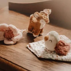 Little Dutch Educatief Speelgoed^Giftset - Roze - Fairy Garden