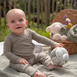 Little Dutch Educatief Speelgoed^Grijpbal Little Farm