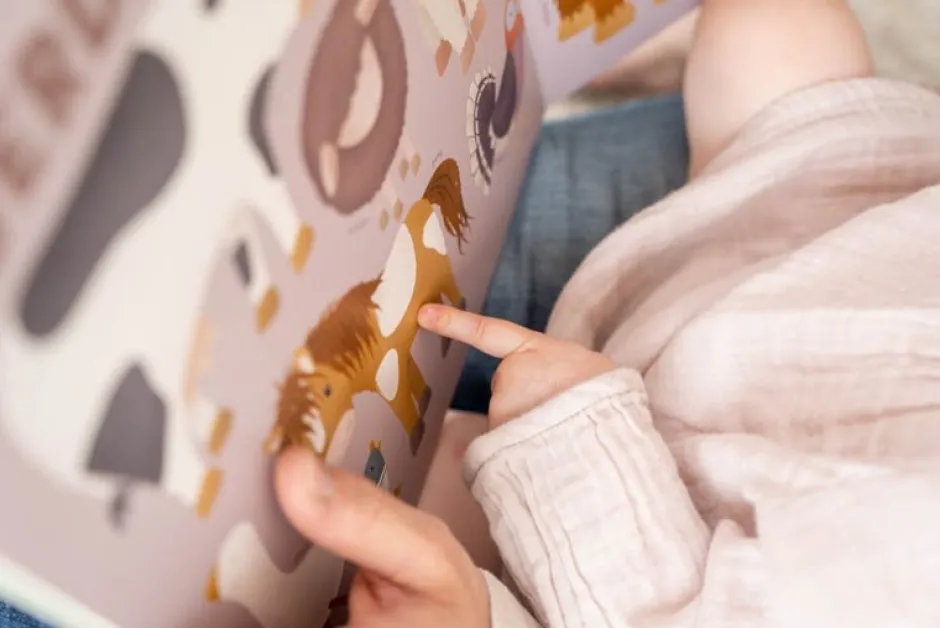 Little Dutch Boeken^Kinderboek Mijn eerste dierenboek - NL