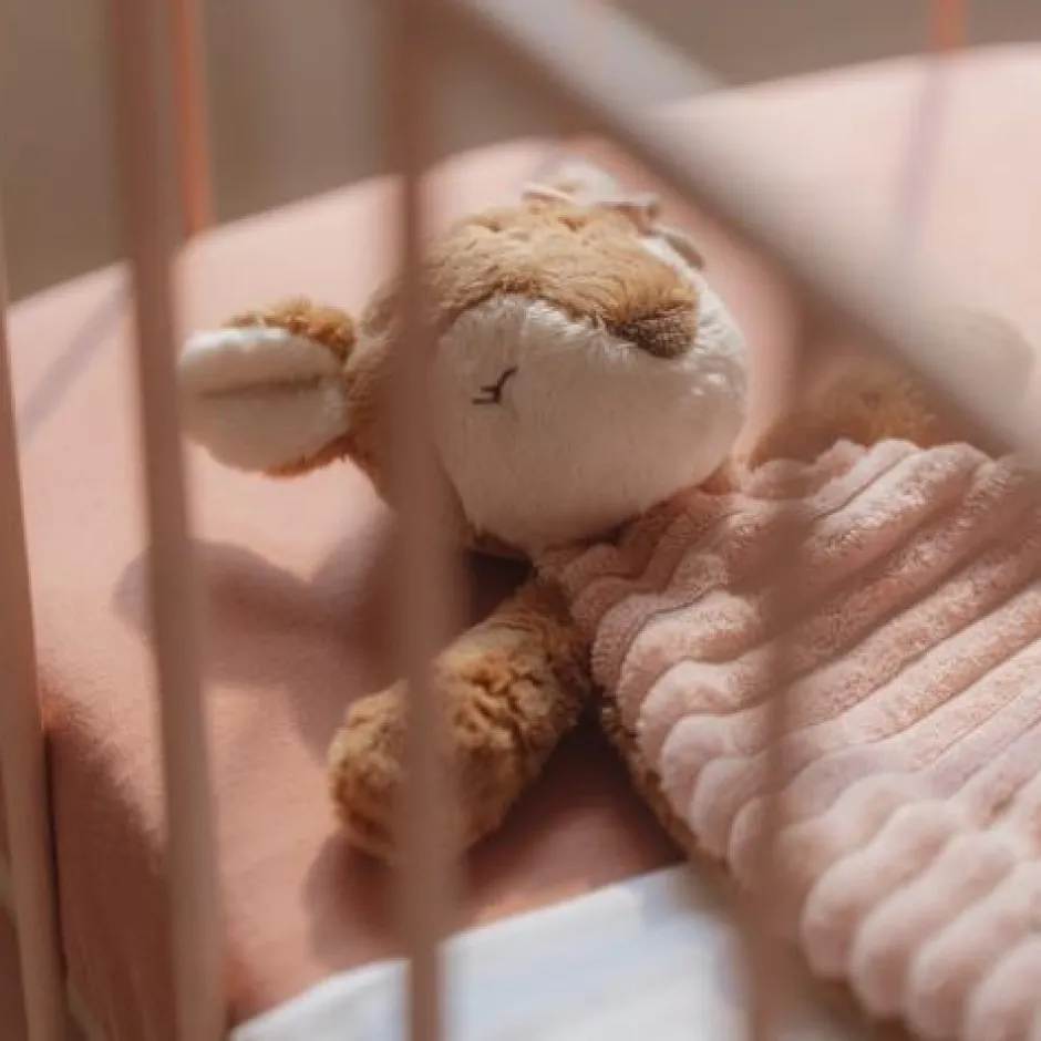 Little Dutch Knuffeldoekjes^Knuffeldoekje knuffel Hert - Roze - Fairy Garden