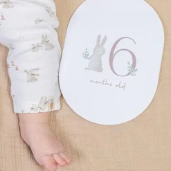 Little Dutch Boeken^Mijlpaal kaarten - Beige - Baby Bunny - EN