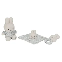 Little Dutch Educatief Speelgoed^nijntje geschenkdoos - Blauw - Lucky Leaves