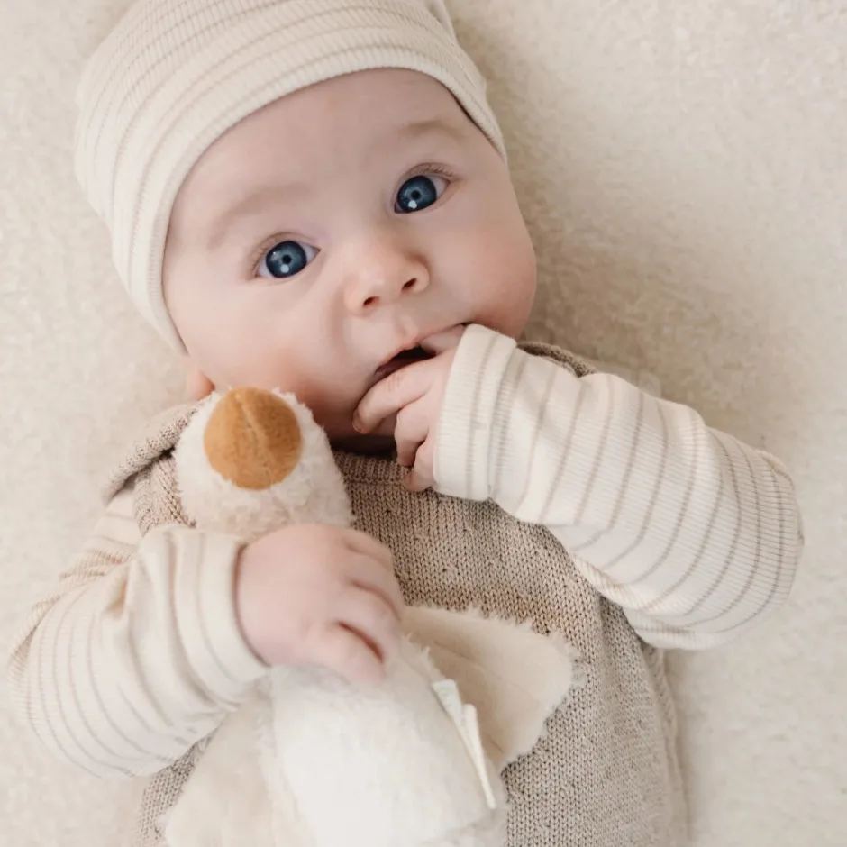 Little Dutch Babykleding^Shirt lange mouw - Beige - Newborn Naturals - Stripe