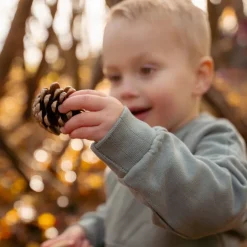 Little Dutch Jongens Kleding|Kinderkleding^Sweater - Groen - Forest Friends