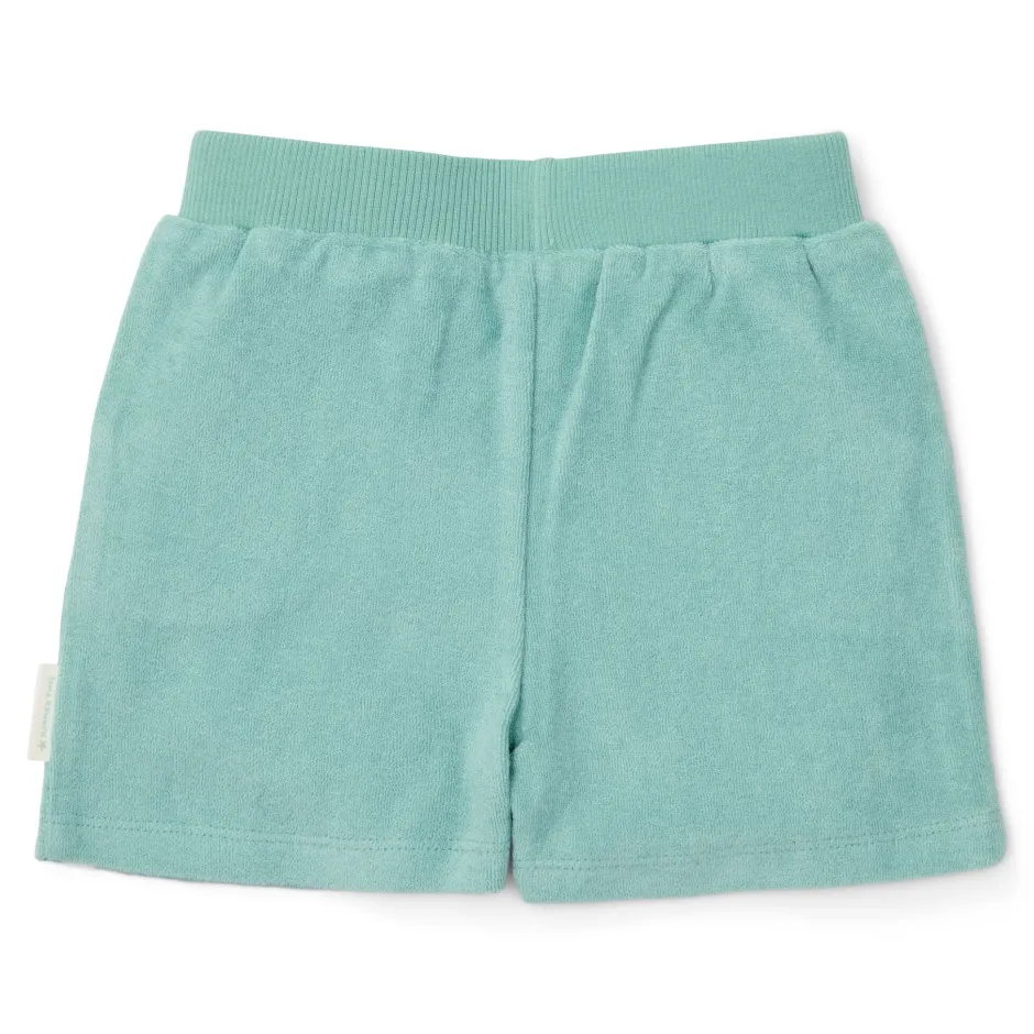 Little Dutch Zwemkleding^T-shirt en Short - Groen - Seashells and Stripes