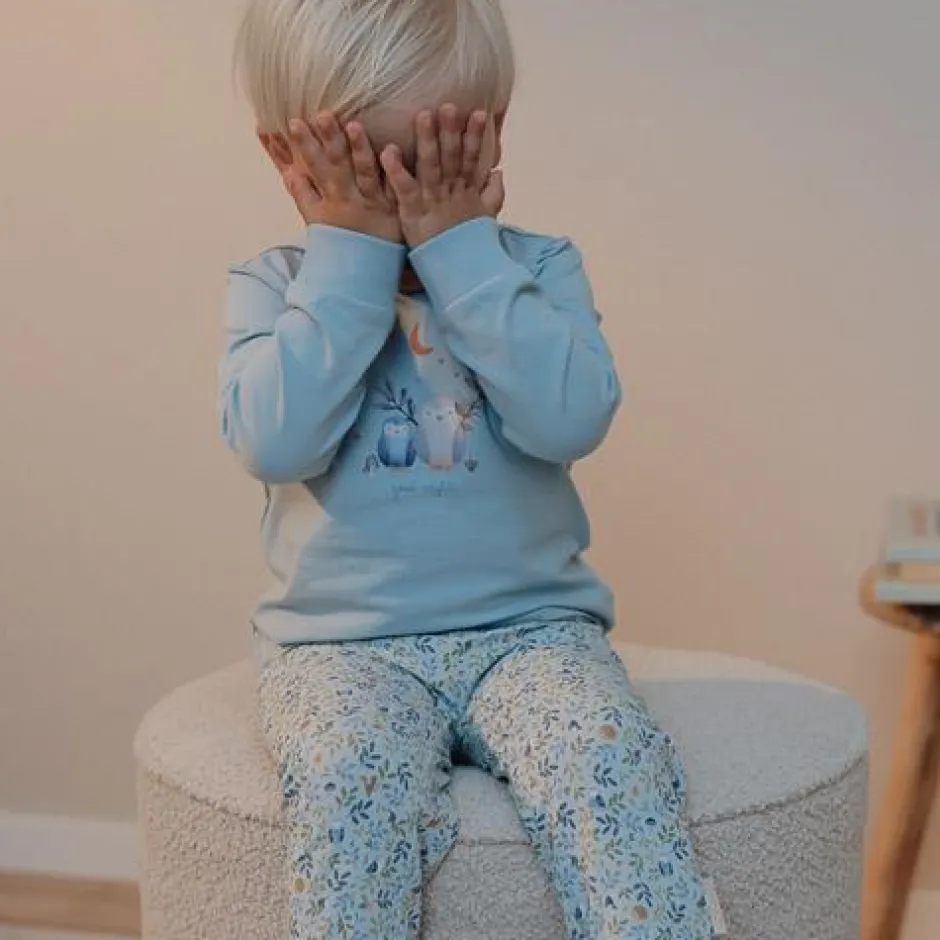 Little Dutch Jongens Kleding|Pyjama's^Tweedelige pyjama - Blauw - Forest Friends - Forest Adventure