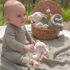 Little Dutch Rammelaar^Zachte ringrammelaar schaap Little Farm